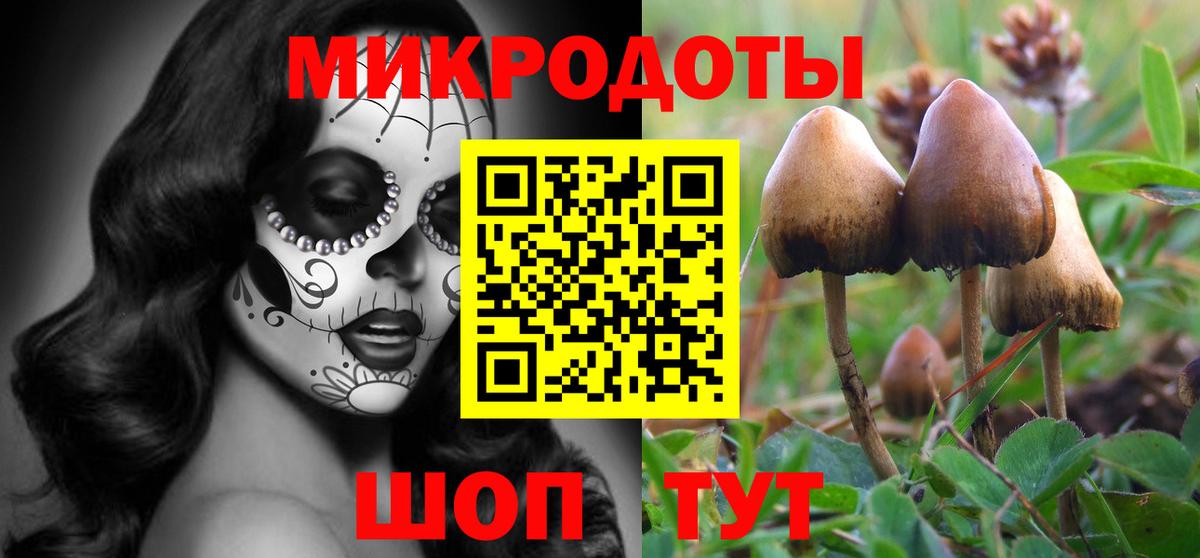 Галлюциногенные грибы GOLDEN TEACHER Холмск