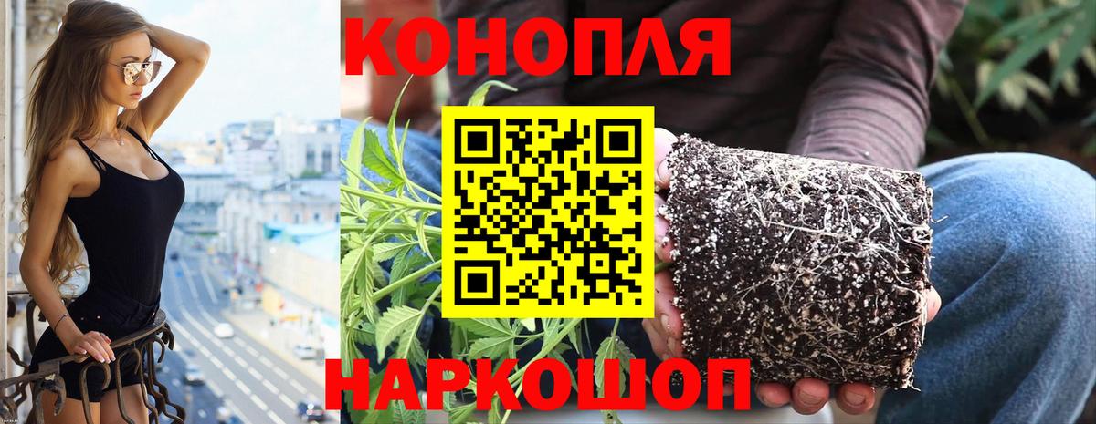 Марихуана гибрид Холмск